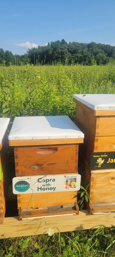 Adopt-a-Hive for 2026
