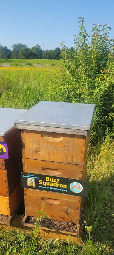 Adopt-a-Hive for 2026