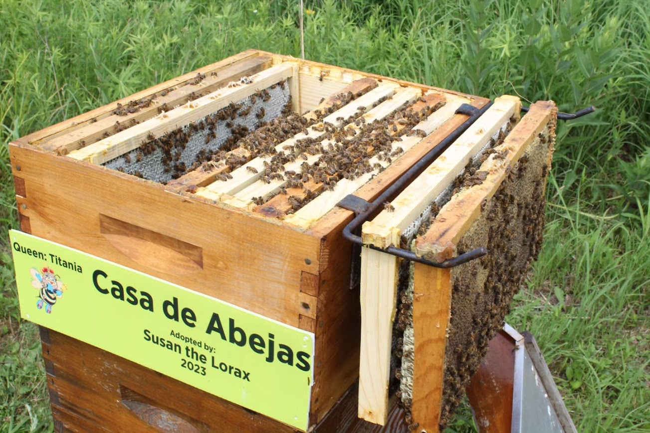 Adopt-a-Hive for 2026