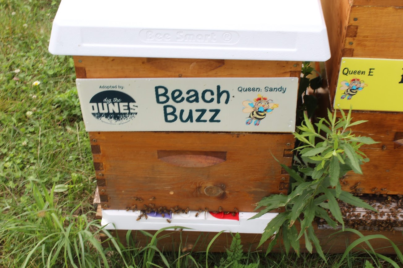 Adopt-a-Hive for 2026