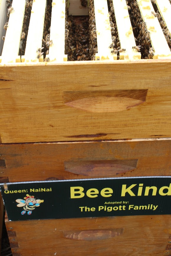 Adopt-a-Hive for 2026